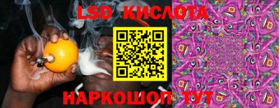 apvp Канаш