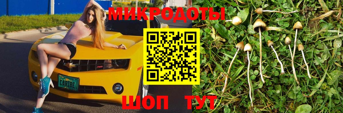 Псилоцибиновые грибы Psilocybe  Вход с VPN  Кировск 