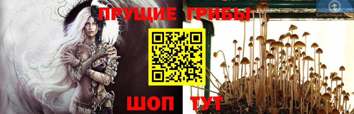Псилоцибиновые грибы Magic Shrooms Кировск